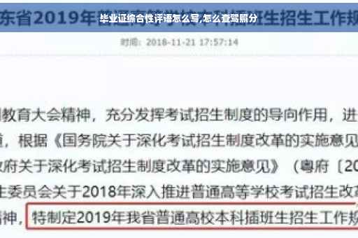 毕业证综合性评语怎么写,怎么查驾照分