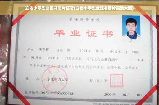 立体小学毕业证书图片高清(立体小学毕业证书图片高清大图)