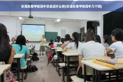 长垣东英学校高中毕业证什么样(长垣东英学校高中几个班)