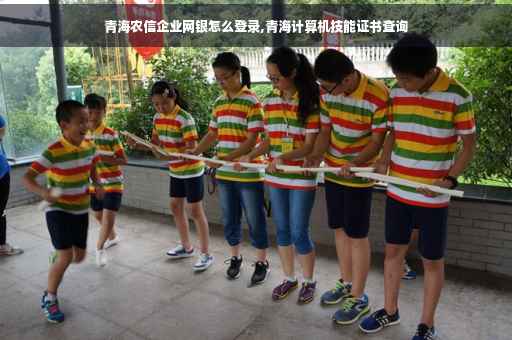 青海农信企业网银怎么登录,青海计算机技能证书查询