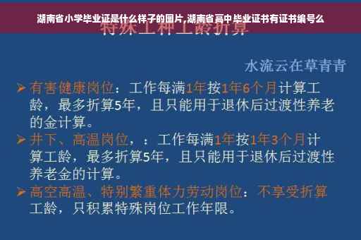 湖南省小学毕业证是什么样子的图片,湖南省高中毕业证书有证书编号么