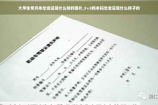 大学生专升本毕业证是什么样的图片,3+2的本科毕业证是什么样子的