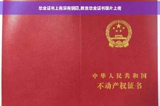 毕业证书上有没有钢印,教资毕业证书图片上传 毕业证书上有没有钢印,教资毕业证书图片上传