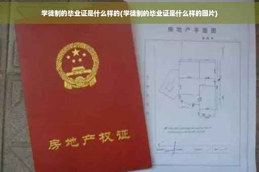 学徒制的毕业证是什么样的(学徒制的毕业证是什么样的图片)