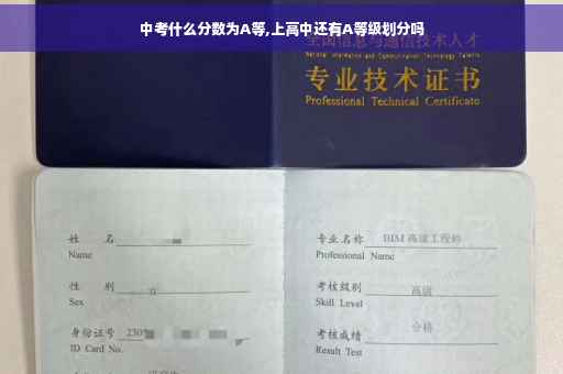 中考什么分数为A等,上高中还有A等级划分吗