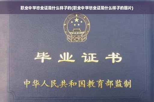 职业中学毕业证是什么样子的(职业中学毕业证是什么样子的图片)