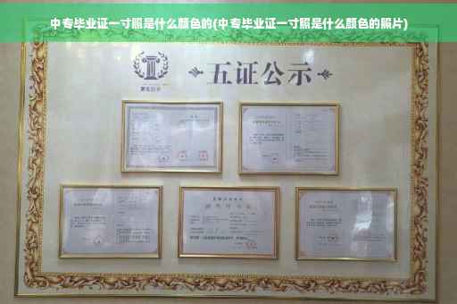中专毕业证一寸照是什么颜色的(中专毕业证一寸照是什么颜色的照片)