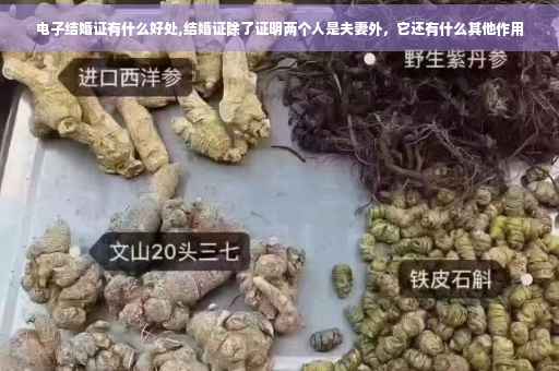 电子结婚证有什么好处,结婚证除了证明两个人是夫妻外,它还有什么其他作用 电子结婚证有什么好处,结婚证除了证明两个人是夫妻外,它还有什么其他作用