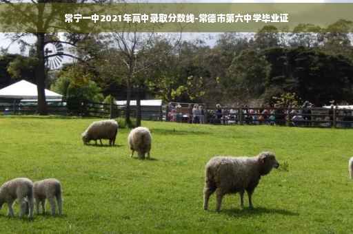 常宁一中2021年高中录取分数线-常德市第六中学毕业证