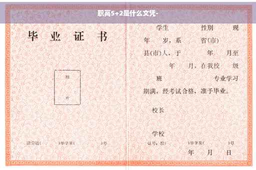 职高5+2是什么文凭-