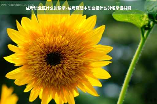 成考毕业证什么时候拿-成考高起本毕业证什么时候拿证书啊