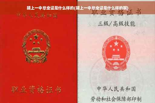 颍上一中毕业证是什么样的(颍上一中毕业证是什么样的啊)