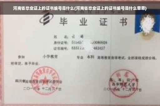 河南省毕业证上的证书编号是什么(河南省毕业证上的证书编号是什么意思)