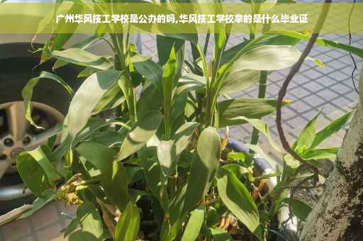 广州华风技工学校是公办的吗,华风技工学校拿的是什么毕业证