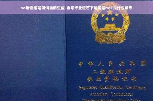 no后面编号如何自动生成-自考毕业证右下角编号no1是什么意思