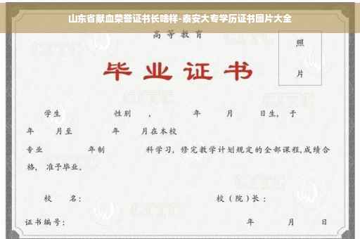 山东省献血荣誉证书长啥样-泰安大专学历证书图片大全