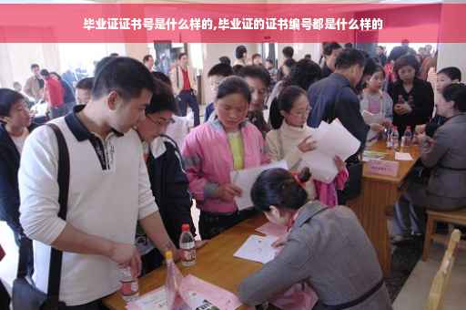 毕业证证书号是什么样的,毕业证的证书编号都是什么样的