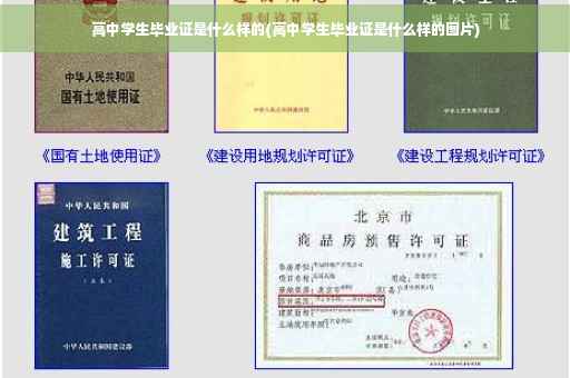 高中学生毕业证是什么样的(高中学生毕业证是什么样的图片)