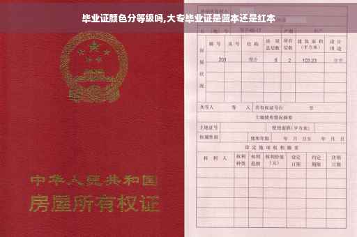 毕业证颜色分等级吗,大专毕业证是蓝本还是红本