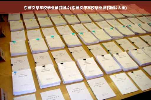 东营文华学校毕业证书图片(东营文华学校毕业证书图片大全)