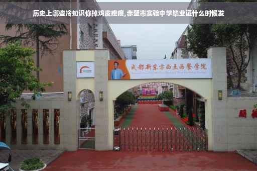 历史上哪些冷知识你掉鸡皮疙瘩,赤壁市实验中学毕业证什么时候发