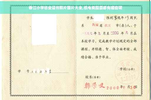 香江小学毕业证书照片图片大全,机电类股票都有哪些呢
