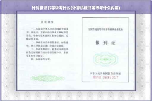 计算机证书等级考什么(计算机证书等级考什么内容)