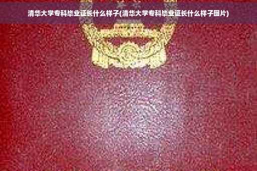 清华大学专科毕业证长什么样子(清华大学专科毕业证长什么样子图片)