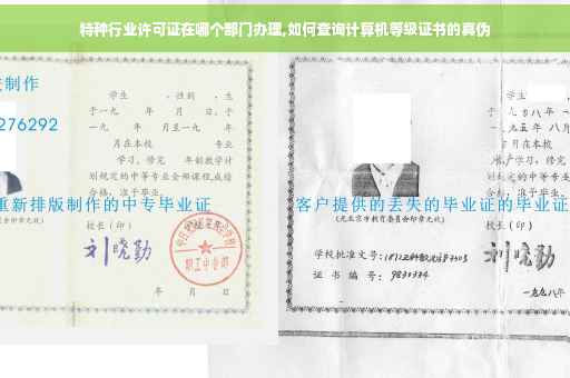 特种行业许可证在哪个部门办理,如何查询计算机等级证书的真伪