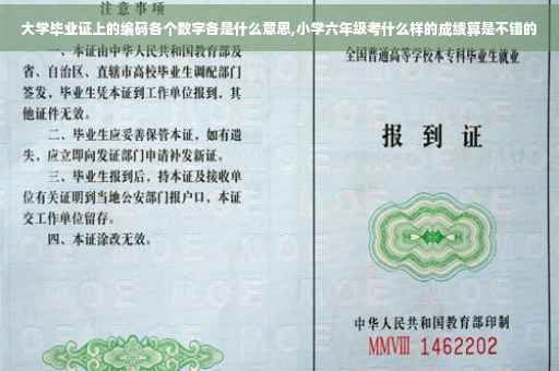 大学毕业证上的编码各个数字各是什么意思,小学六年级考什么样的成绩算是不错的