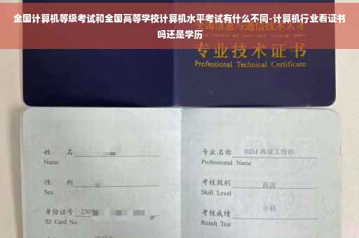 全国计算机等级考试和全国高等学校计算机水平考试有什么不同-计算机行业看证书吗还是学历