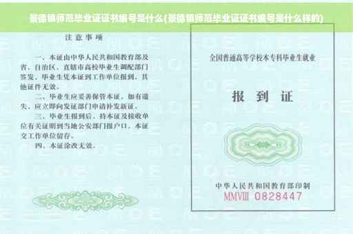 景德镇师范毕业证证书编号是什么(景德镇师范毕业证证书编号是什么样的)
