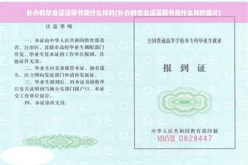 补办的毕业证证明书是什么样的(补办的毕业证证明书是什么样的图片)