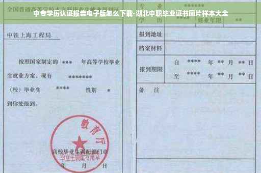 中专学历认证报告电子版怎么下载-湖北中职毕业证书图片样本大全