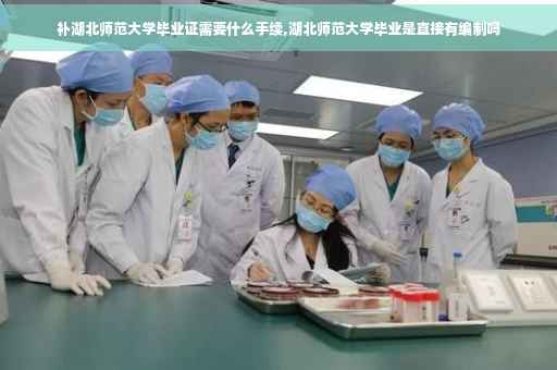 补湖北师范大学毕业证需要什么手续,湖北师范大学毕业是直接有编制吗