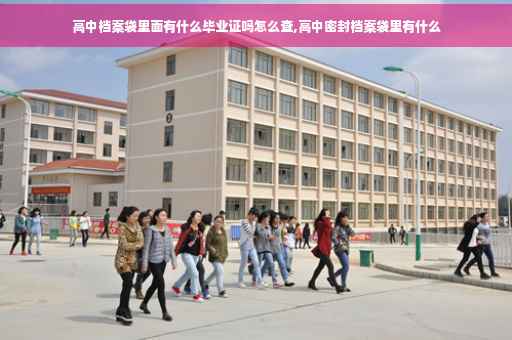 高中档案袋里面有什么毕业证吗怎么查,高中密封档案袋里有什么