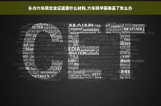 补办六年级毕业证需要什么材料,六年级学籍表丢了怎么办