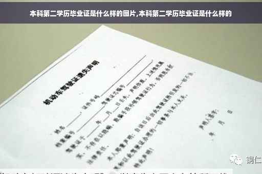 本科第二学历毕业证是什么样的图片,本科第二学历毕业证是什么样的 本科第二学历毕业证是什么样的图片,本科第二学历毕业证是什么样的