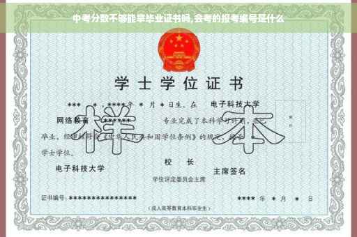 中考分数不够能拿毕业证书吗,会考的报考编号是什么