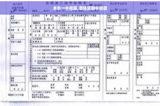 丰台一中校服,首经贸附中校徽 丰台一中校服,首经贸附中校徽