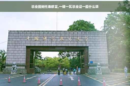 毕业捐树代表感言,一砖一瓦毕业证一般什么级