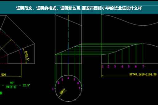证明范文，证明的格式，证明怎么写,西安市团结小学的毕业证长什么样