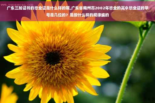 广东三加证书的毕业证是什么样的啊,广东省梅州市2002年毕业的高中毕业证的学号是几位的？是按什么样的规律编的