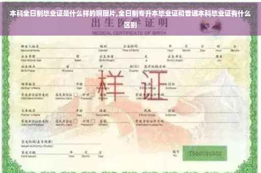 本科全日制毕业证是什么样的啊图片,全日制专升本毕业证和普通本科毕业证有什么区别