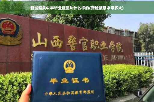 新城紫泉中学毕业证图片什么样的(新城紫泉中学多大)