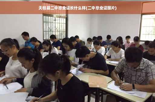 天柱县二中毕业证长什么样(二中毕业证图片)