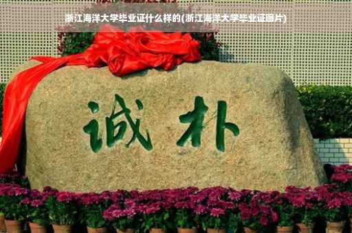浙江海洋大学毕业证什么样的(浙江海洋大学毕业证图片)
