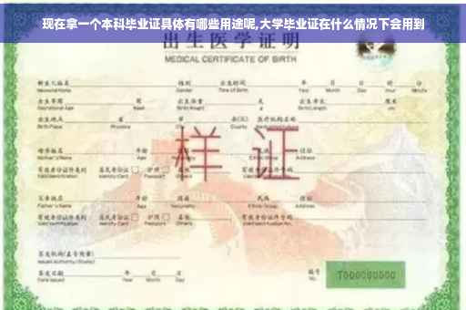 现在拿一个本科毕业证具体有哪些用途呢,大学毕业证在什么情况下会用到