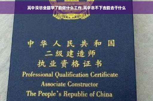 高中没毕业辍学了能做什么工作,高中念不下去能去干什么