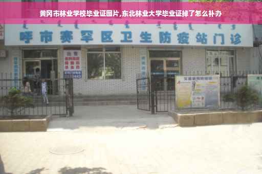 黄冈市林业学校毕业证图片,东北林业大学毕业证掉了怎么补办